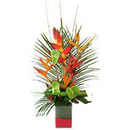 Arrangement with Strelitzia and Heliconia