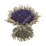 Bouquet of lavender and cones