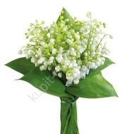 Bouquet of 75 lilies-of-the-valley