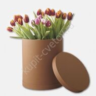 Tulips in a hatbox