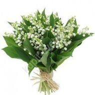 Bouquet of 49 lilies of the valley