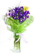 Inexpensive bouquet of irises